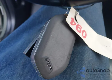 2024 Kia Telluride Sx Prestige X-Pro from USA, damaged, VIN 5XYP5DGC5RG454369